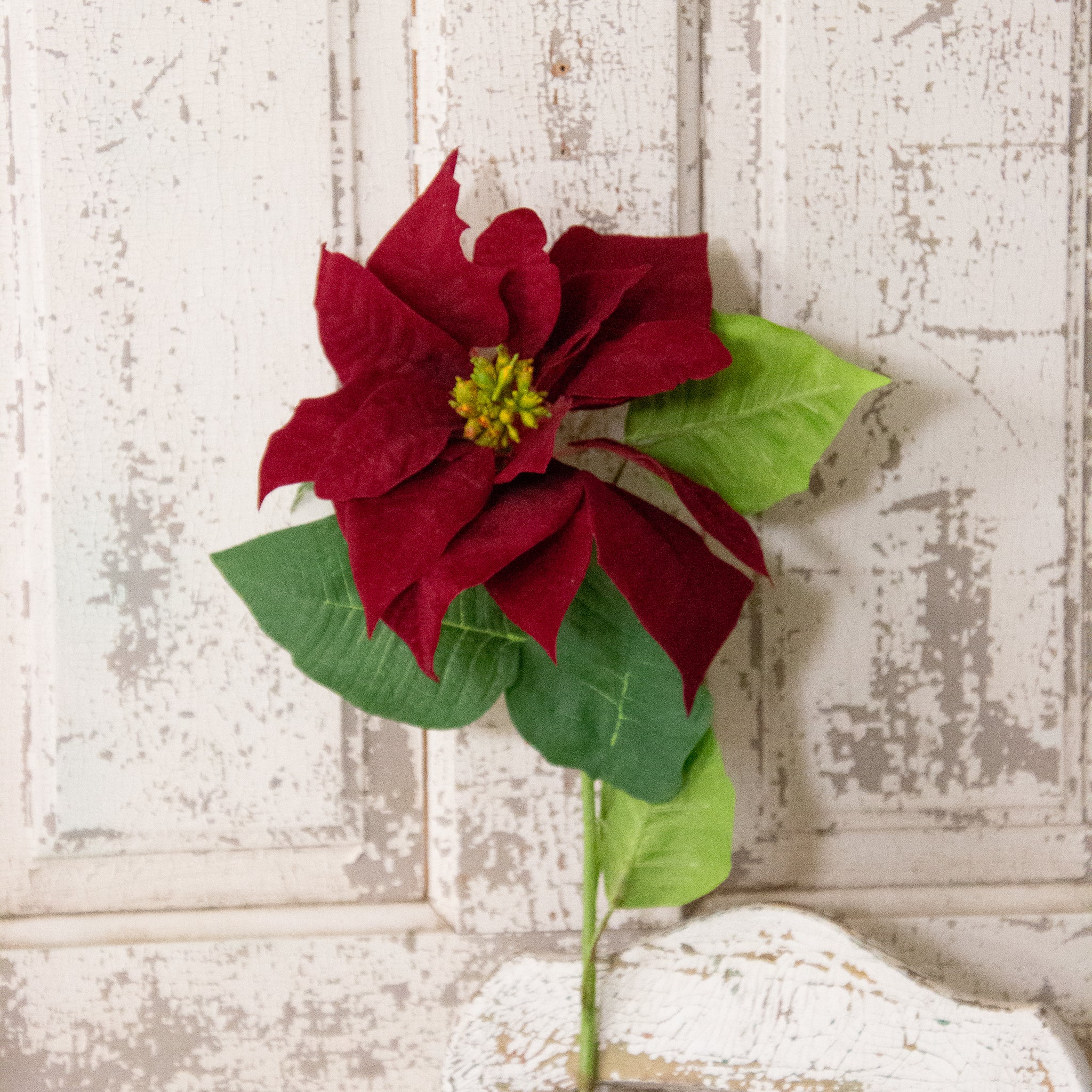 Pick - Red Poinsettia