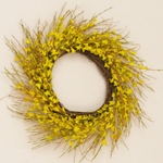 Forsythia