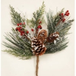 Branches