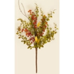 Baby Grass with Yellow & Red Berries
