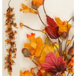 Fall Foliage