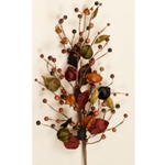 Autumn Pods & Berries
