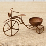 Miniature Garden Decor