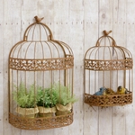 Bird Cages