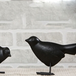 Crows