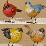 Birds