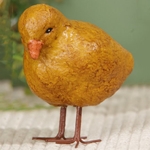 Chicks