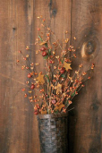 BRANCH - MINI PUMPKINS  MIXED HARVEST  STARS