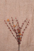 Sprig - Red Berries, Rusty Stars