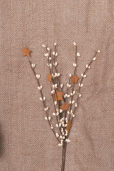 Pick - CRM Berries & Rusty Stars