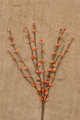 Pick - Burnt Orange Berry