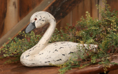 Goose - Wood
