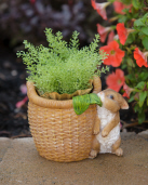 GARDEN BUNNY - PLANTER W/BUNNY NIBBLING LETTUCE
