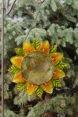 BIRD FEEDER - SUNFLOWER