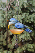 Bird Feeder - Bluebird