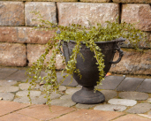 FLOWER POT - URN  BLK