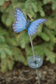 GARDEN STAKE - BUTTERFLY  BLUE  SOLAR/FIBER OPTIC