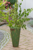 Large Flower Pot - Vintage Green