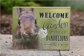 Sign - Welcome, Eat Dandelions