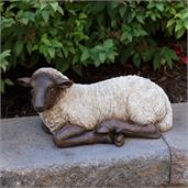 Sheep - Resting