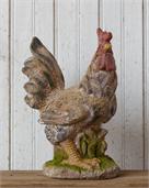 Barnyard Rooster