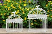 Bird Cages - Rectangular, Off-White