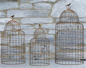 Bird Cages - Vintage Rusty