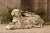 Rabbit - Resting