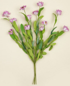 PICK-WILD FLOWERS  LIGHT PURPLE