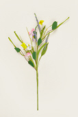 Branch - Pansy Mix