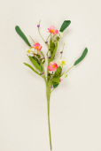 Branch - Alstroemeria Mix