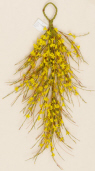 Forsythia - Teardrop