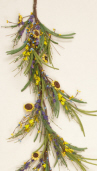 Forsythia Mix - Garland