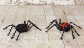 SPIDERS - BLACK BURLAP