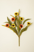 PICK - MINI SUNFLOWERS