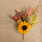 PICK - SUNFLOWER MIX
