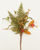PICK-FOLIAGE  BERRIES/FRUIT