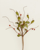 PICK-TWIG  BERRIES & LEAVES
