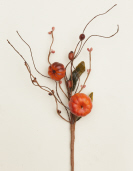 PICK-PUMPKINS & TWIGS