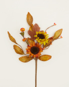 PICK-AUTUMN HARVEST