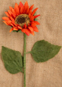 Floral  Long Stemmed - Sunflower  Orange
