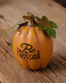 Pumpkin - Be Blessed