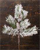 Branch - Snowy Pine & Pinecone