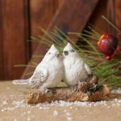 BIRDS PERCHED ON A BRANCH