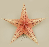 Hanging Paper Star
