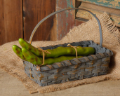 Asparagus - Decorative