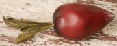 BEET - DECORATIVE