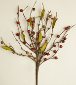 PICK - CRAB APPLES AND BERRIES - BURGUNDY