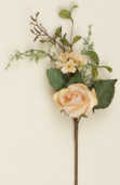 Pick - Peony & Roses, Cream