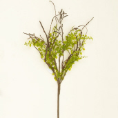 BRANCH - TWIG & BABY GRASS